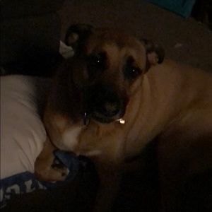 Meet your Posher, Kim